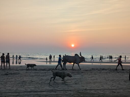 Goa Beach